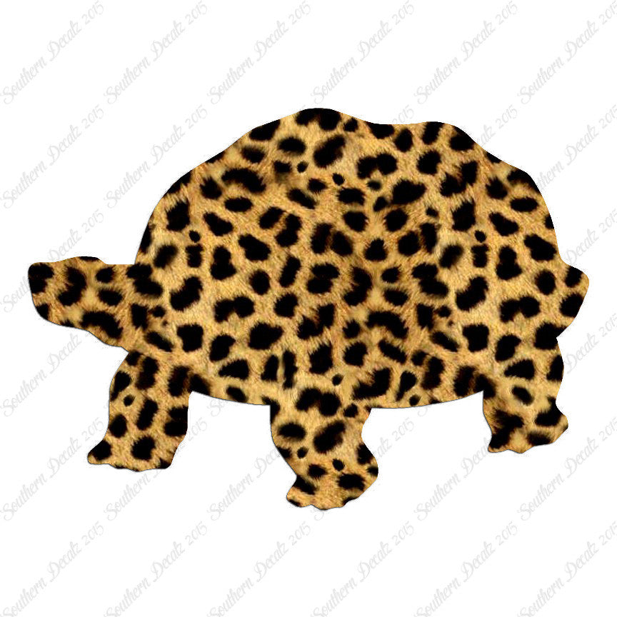 Tortoise Turtle