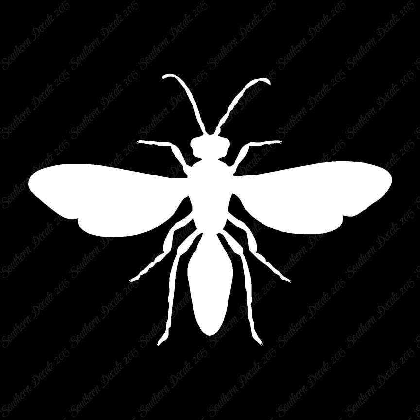 Winged Ant Insect