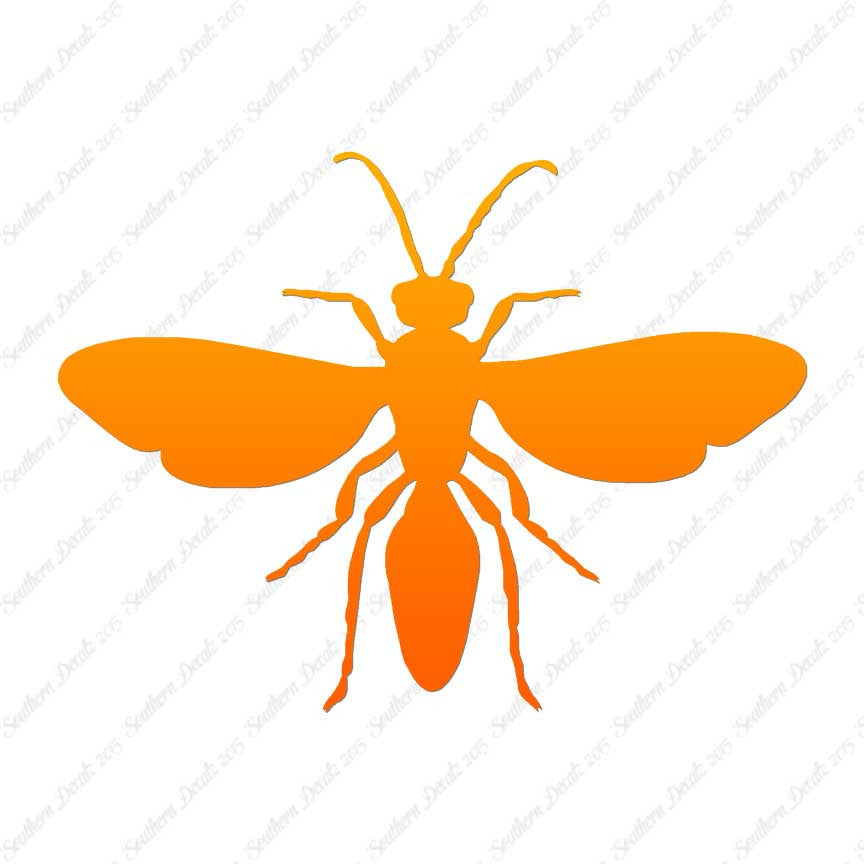 Winged Ant Insect