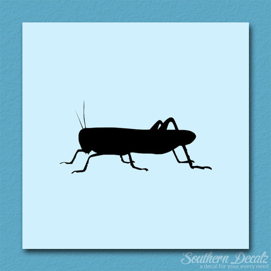 Grasshopper Cricket Insect