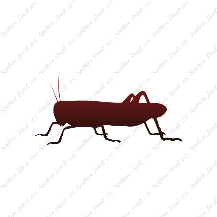 Grasshopper Cricket Insect