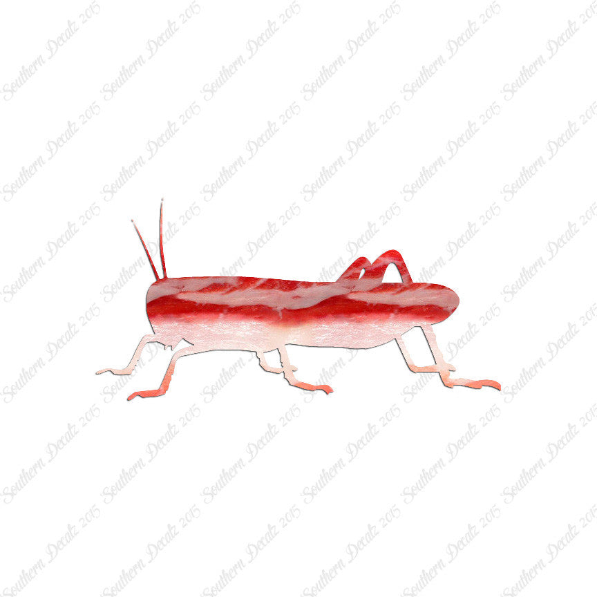 Grasshopper Cricket Insect