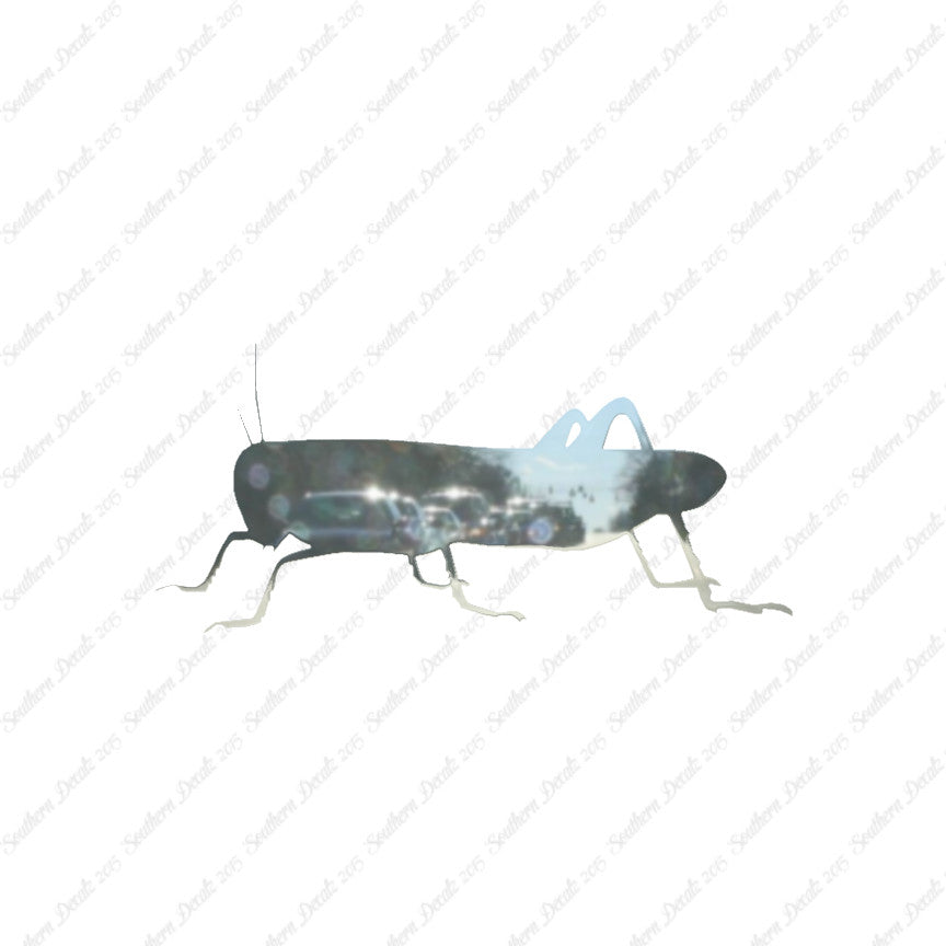 Grasshopper Cricket Insect