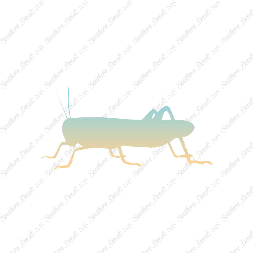 Grasshopper Cricket Insect