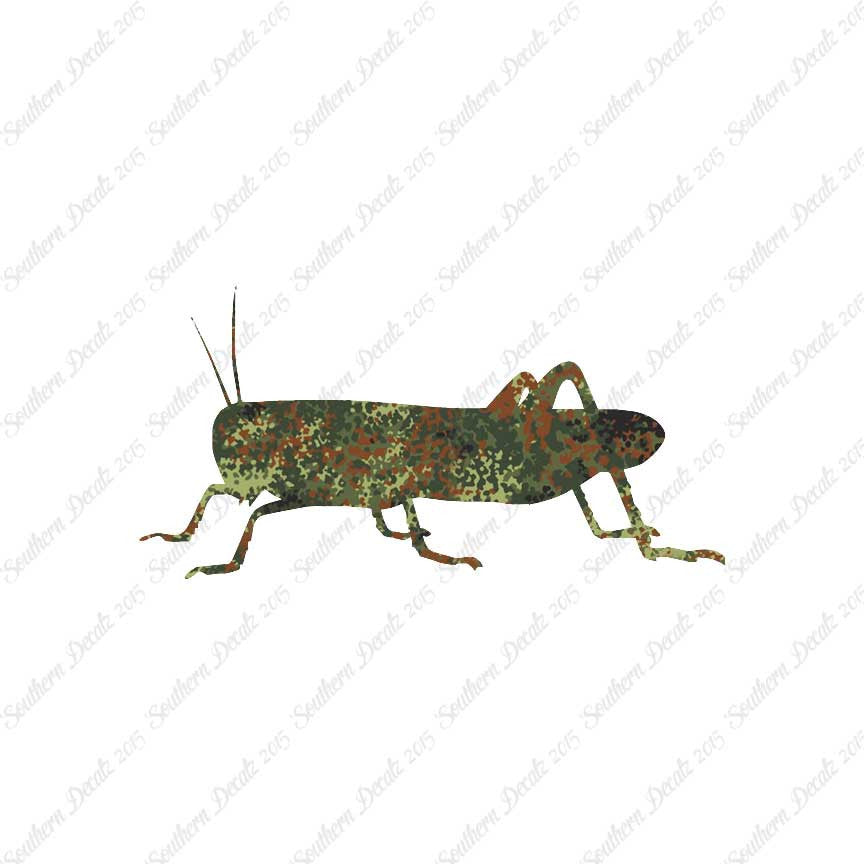 Grasshopper Cricket Insect