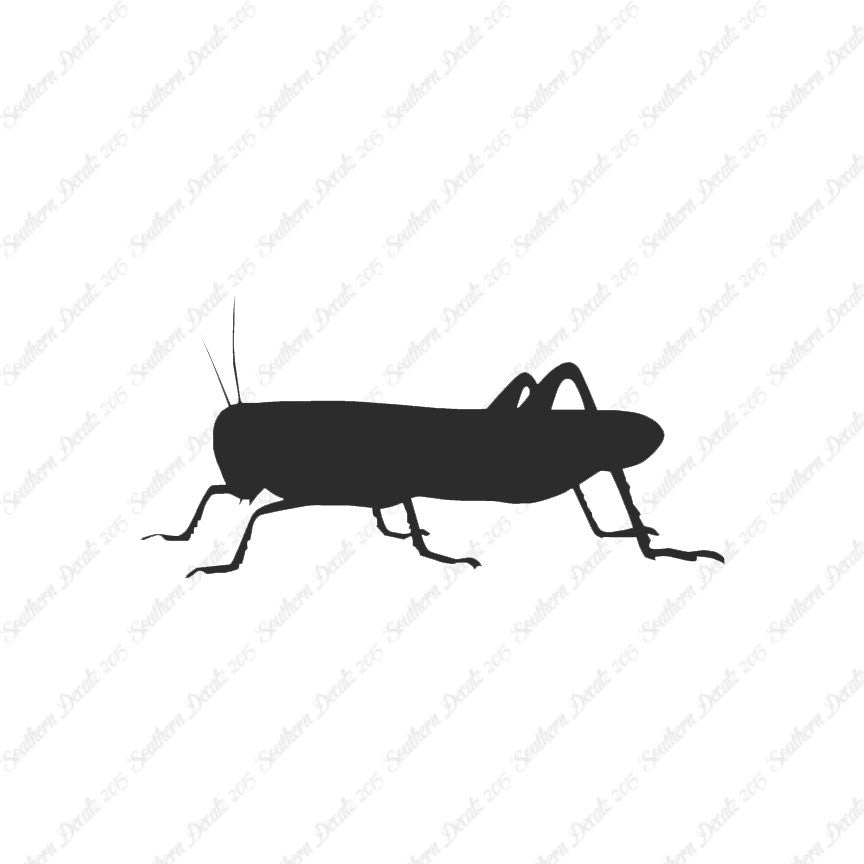 Grasshopper Cricket Insect