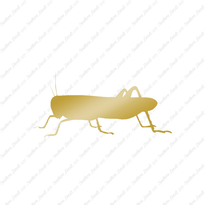 Grasshopper Cricket Insect