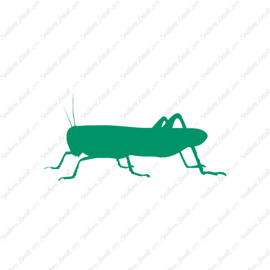 Grasshopper Cricket Insect