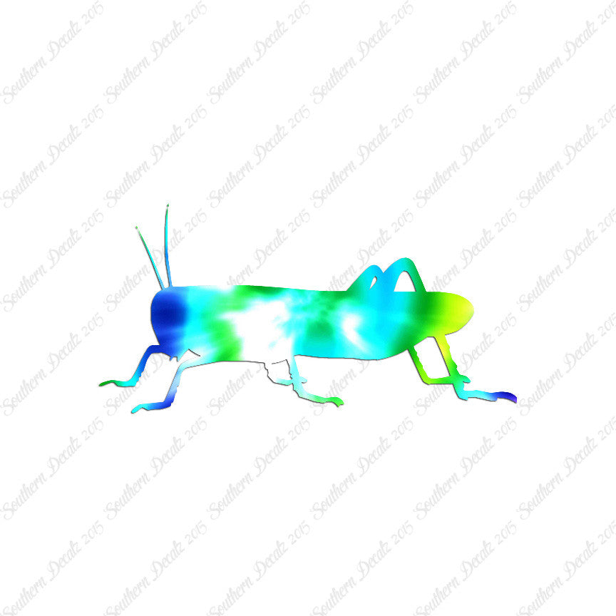 Grasshopper Cricket Insect