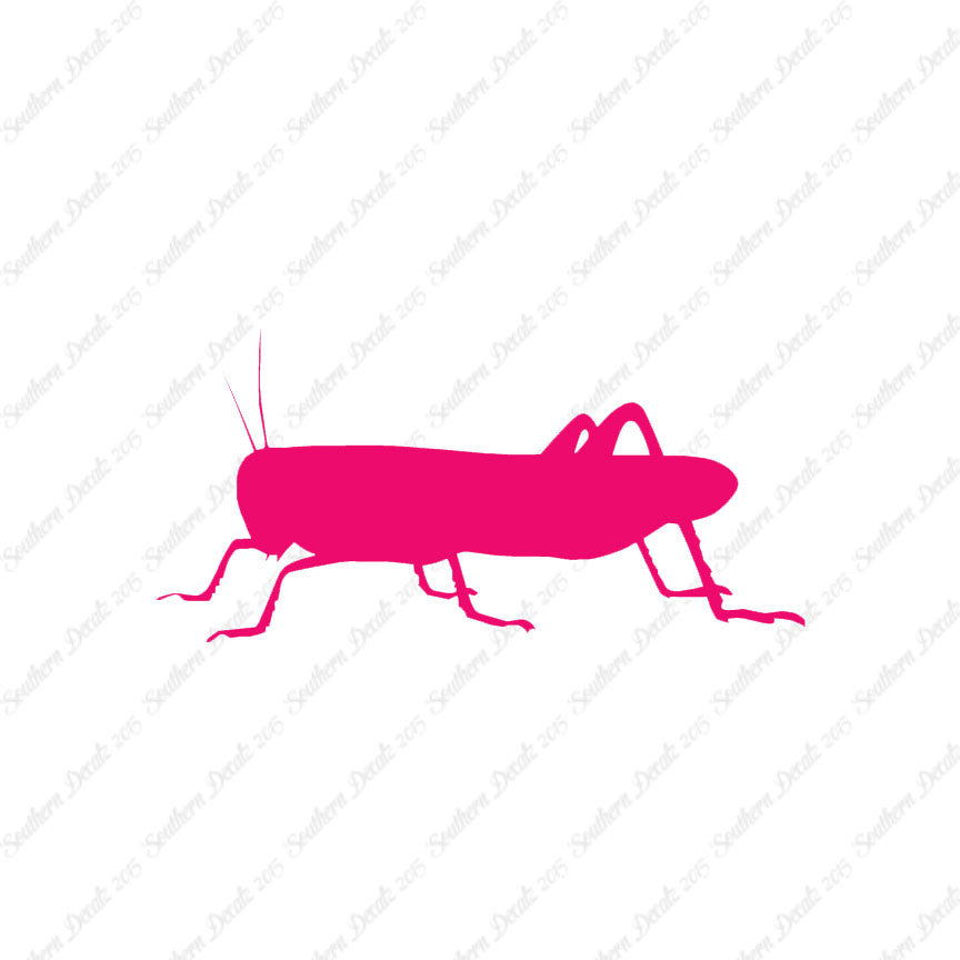 Grasshopper Cricket Insect