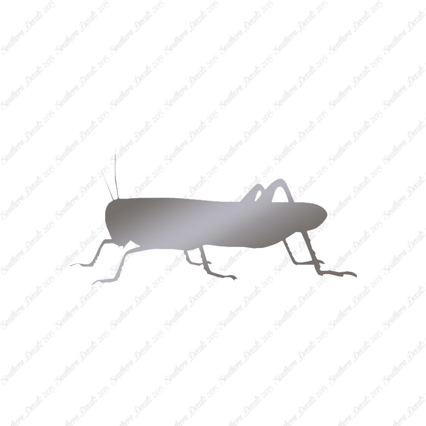 Grasshopper Cricket Insect