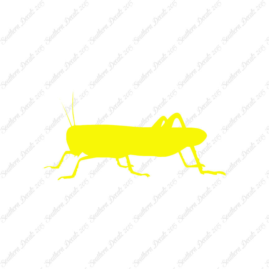 Grasshopper Cricket Insect