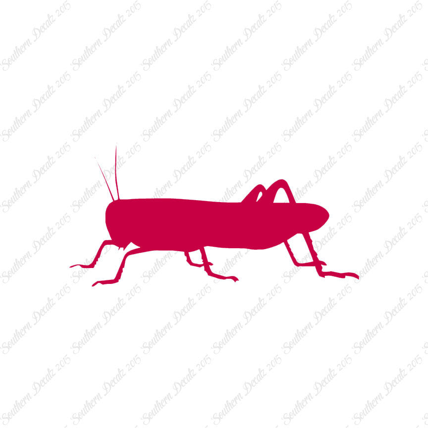 Grasshopper Cricket Insect