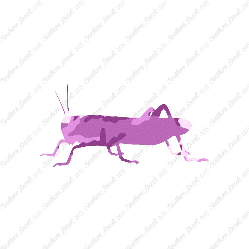Grasshopper Cricket Insect