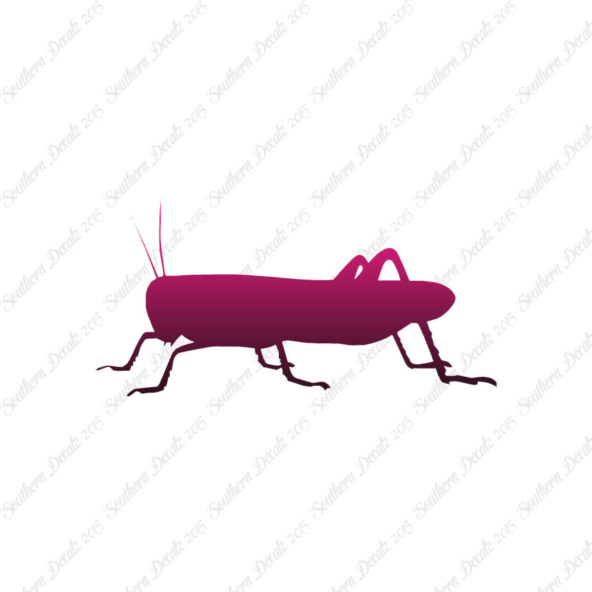 Grasshopper Cricket Insect