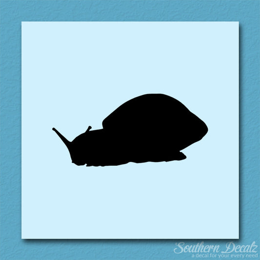 Snail Slug Insect