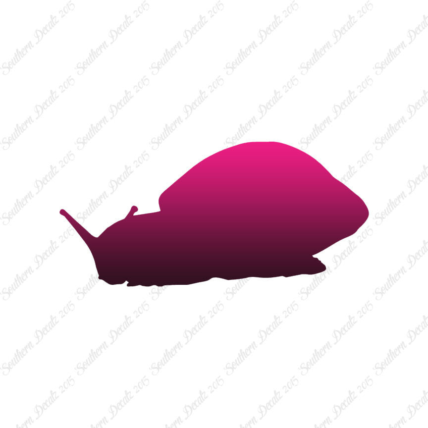 Snail Slug Insect