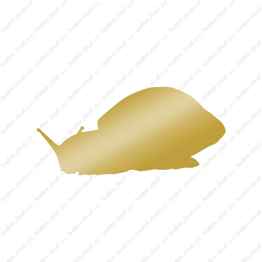 Snail Slug Insect