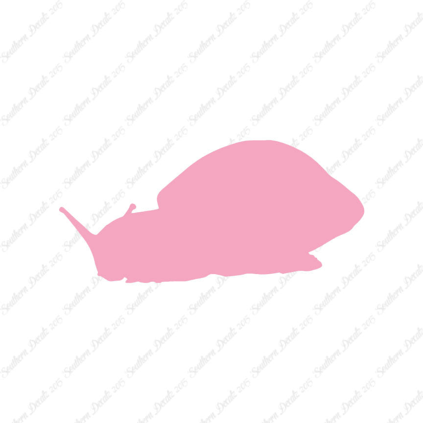 Snail Slug Insect