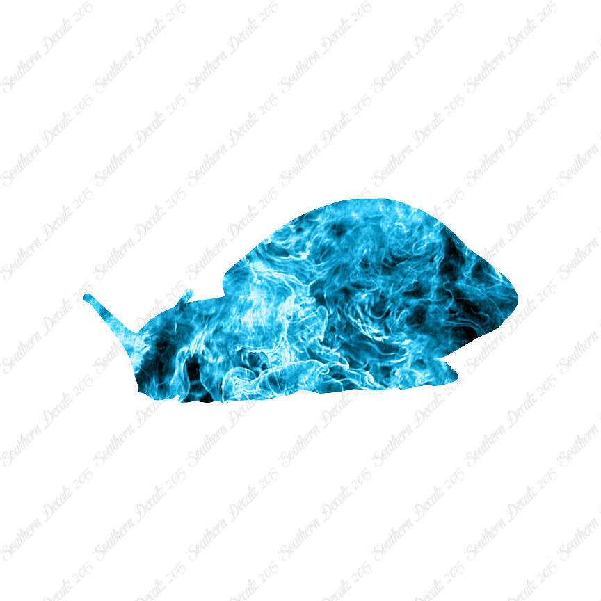 Snail Slug Insect