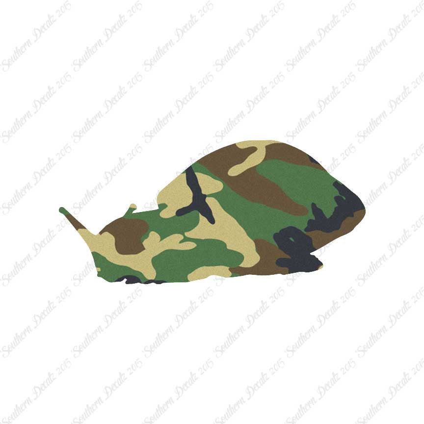 Snail Slug Insect