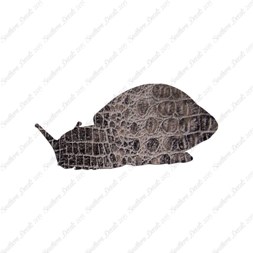 Snail Slug Insect