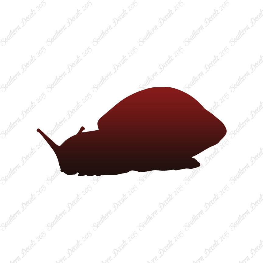 Snail Slug Insect