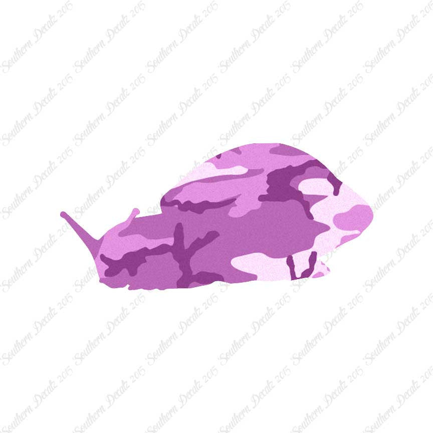 Snail Slug Insect