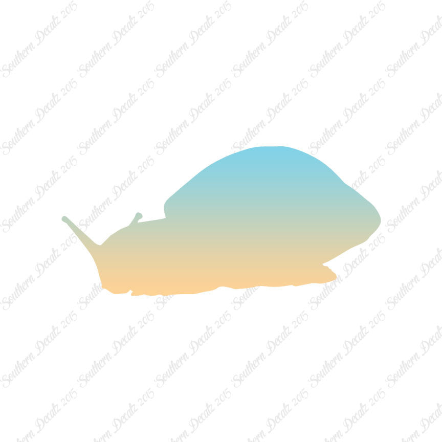 Snail Slug Insect