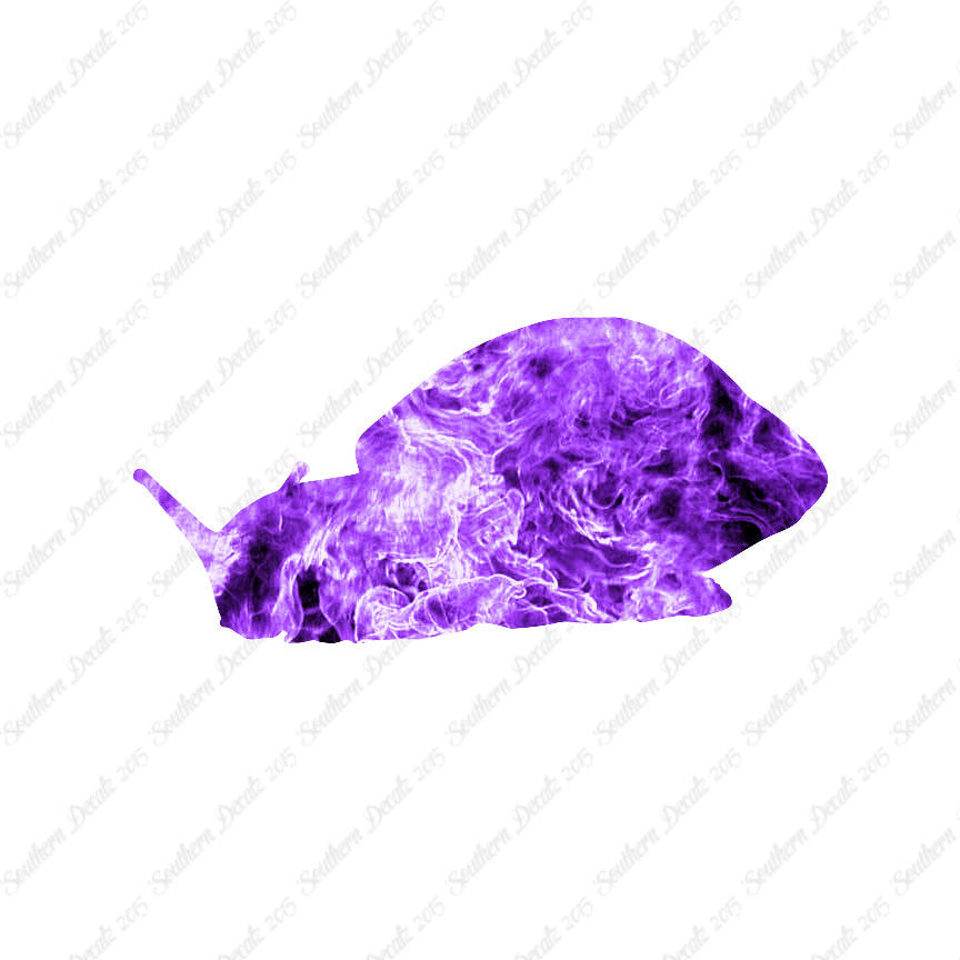 Snail Slug Insect