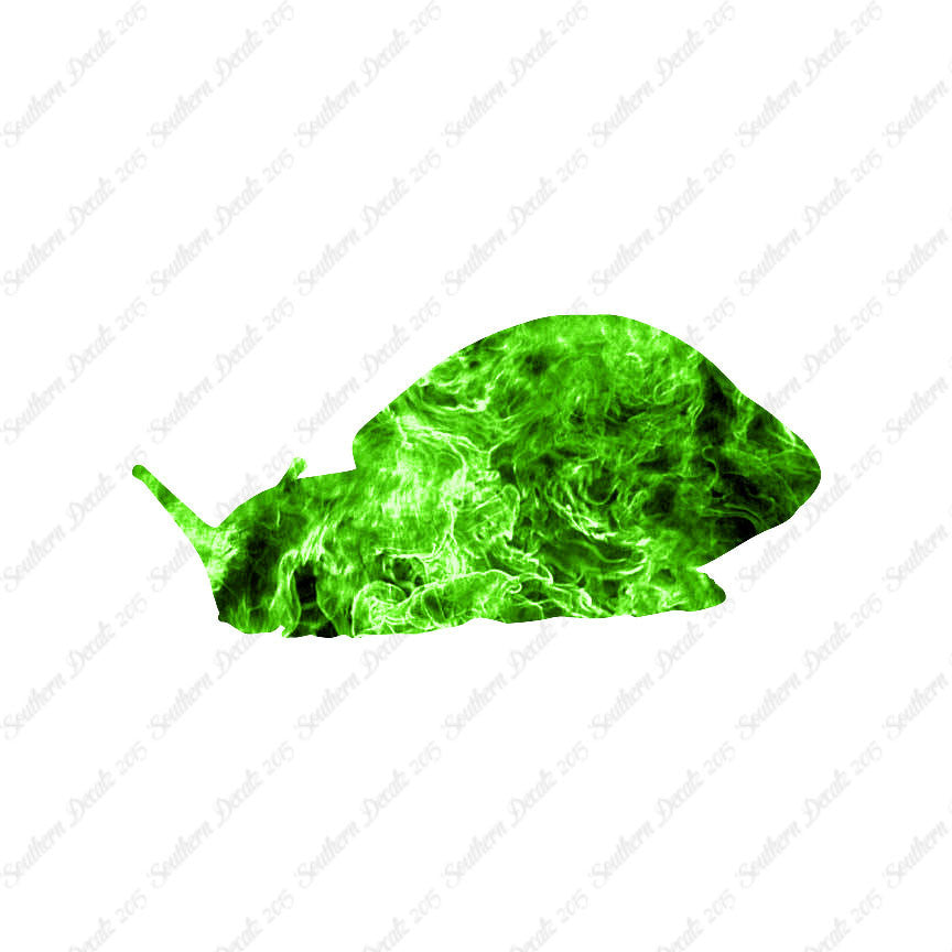Snail Slug Insect