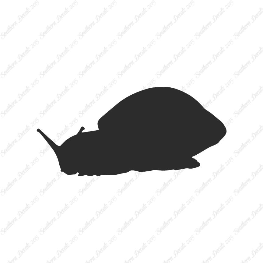 Snail Slug Insect