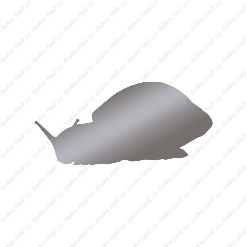 Snail Slug Insect