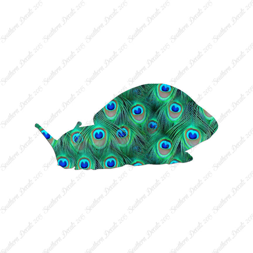 Snail Slug Insect