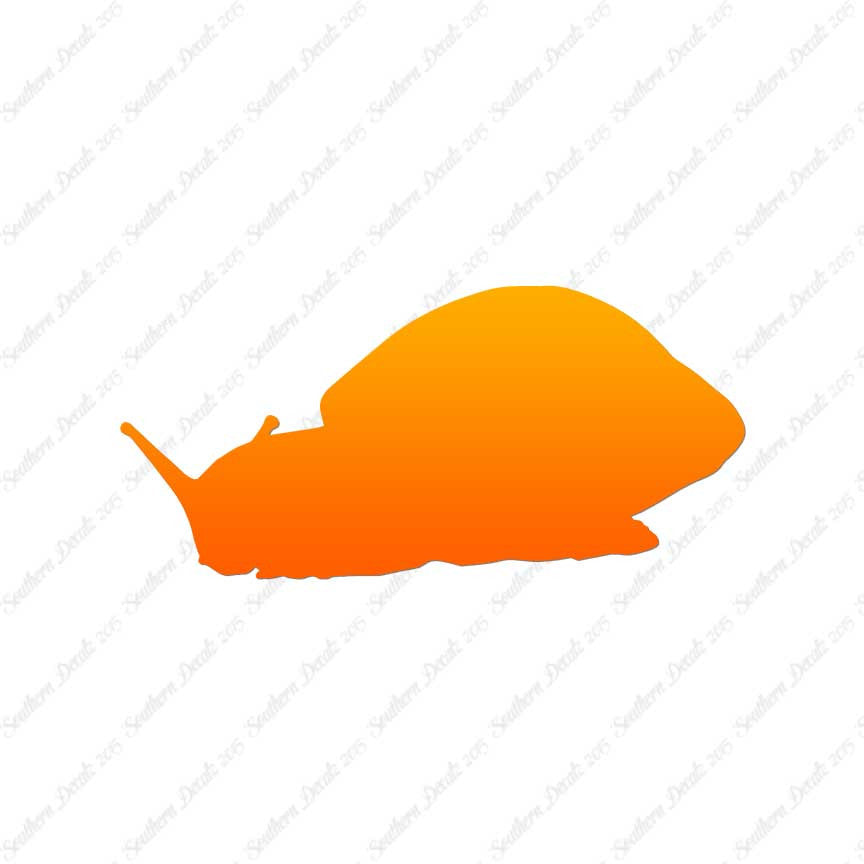 Snail Slug Insect