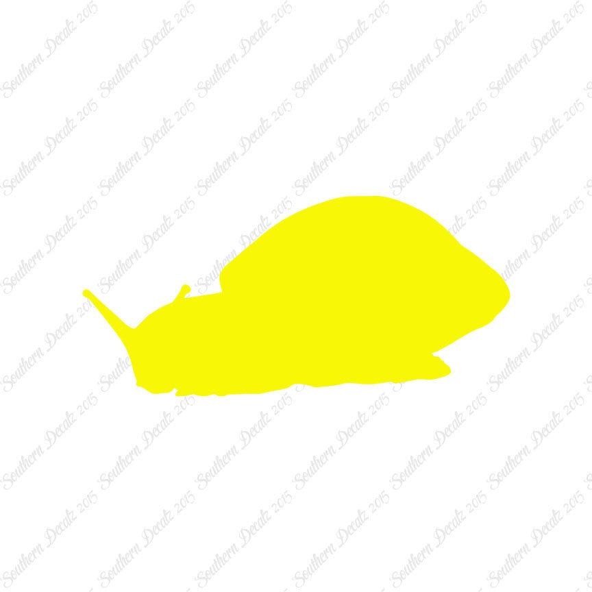 Snail Slug Insect