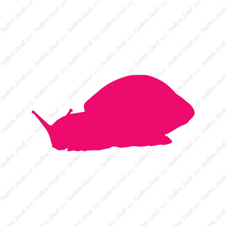 Snail Slug Insect