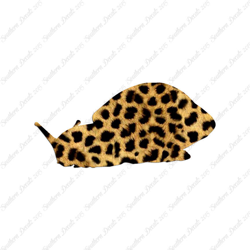 Snail Slug Insect