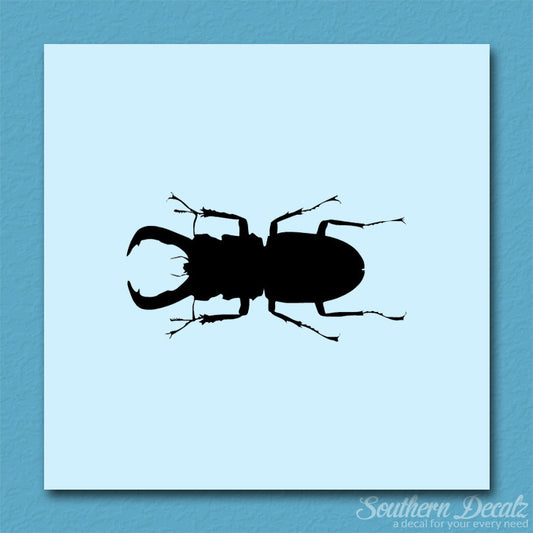 Stag Beetle Insect