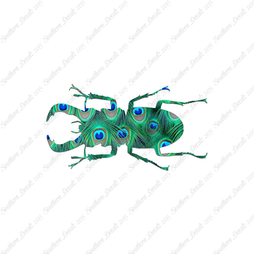 Stag Beetle Insect