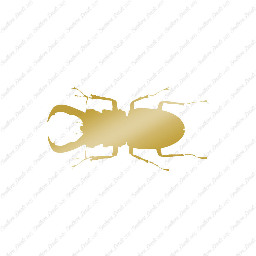 Stag Beetle Insect