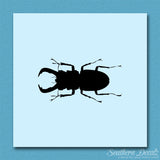 Stag Beetle Insect