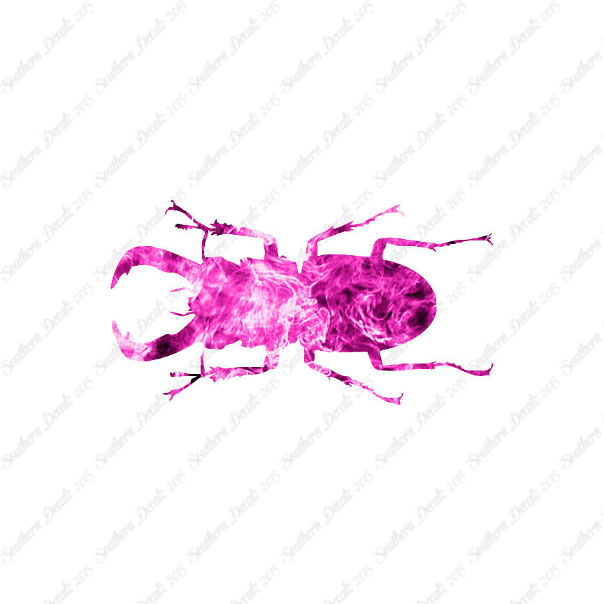 Stag Beetle Insect