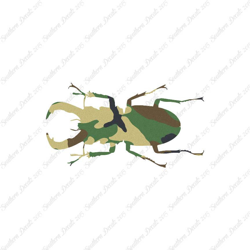 Stag Beetle Insect