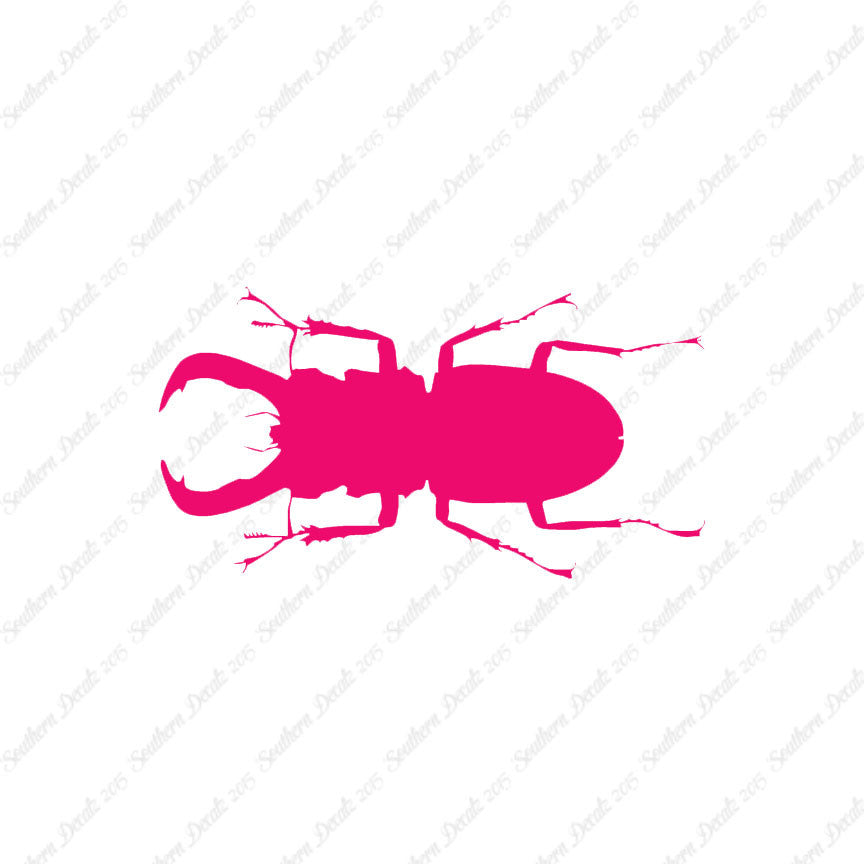 Stag Beetle Insect