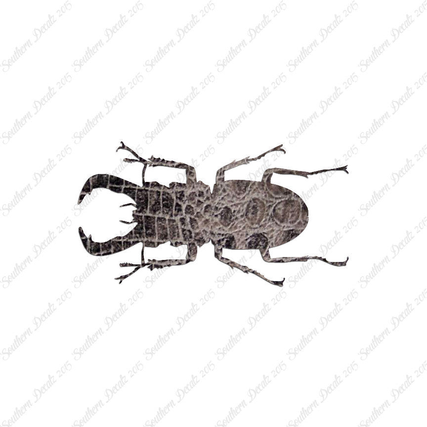 Stag Beetle Insect