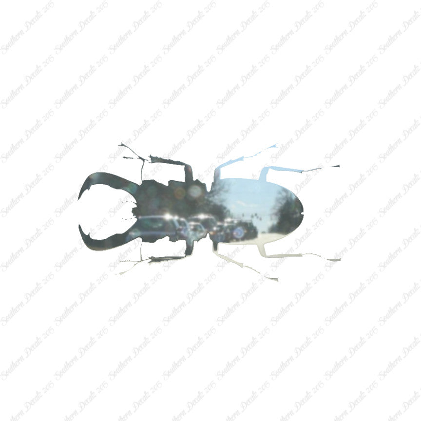 Stag Beetle Insect