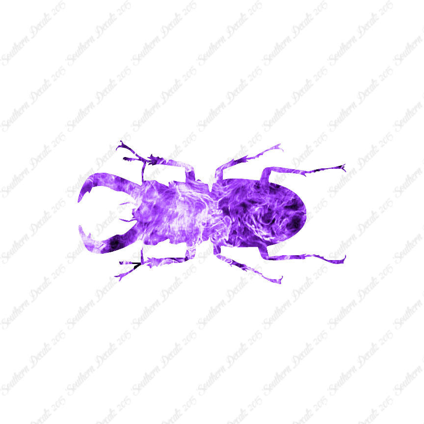 Stag Beetle Insect
