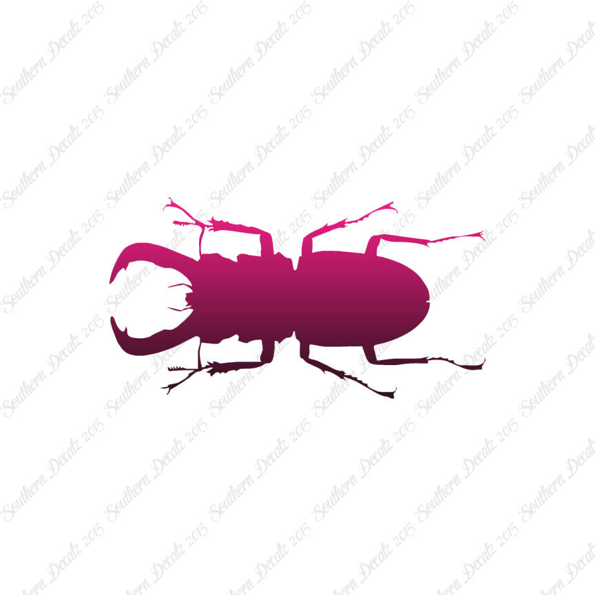 Stag Beetle Insect