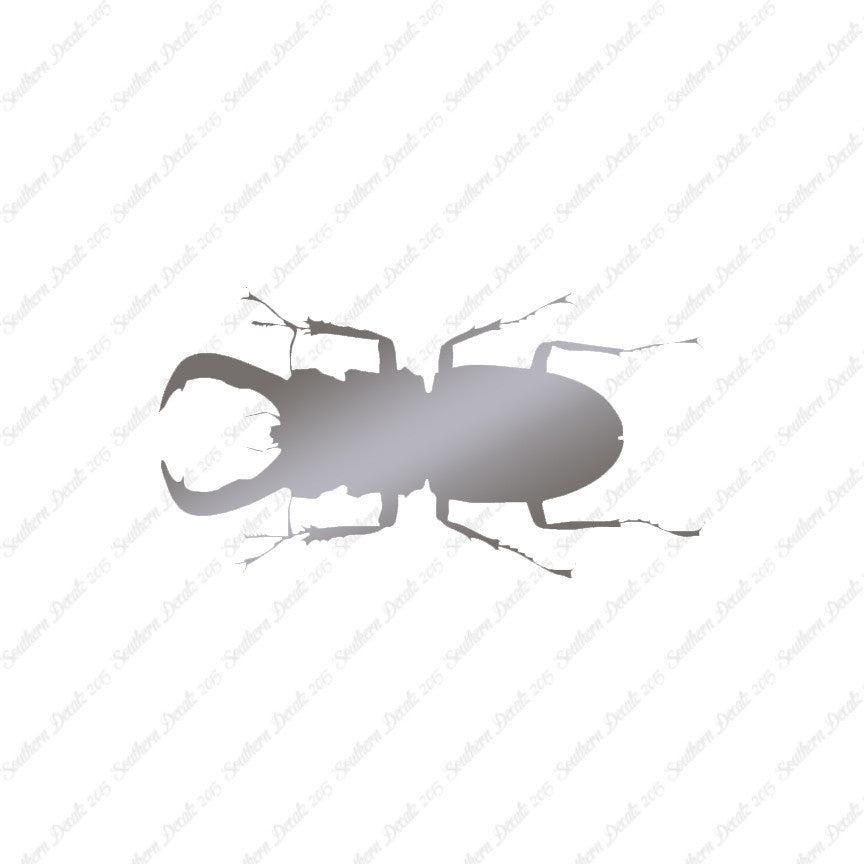 Stag Beetle Insect